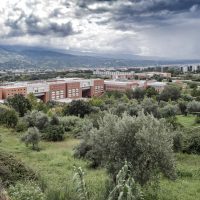 Unical – Università della Calabria